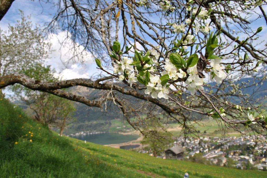 Bio-Bergbauernhof Hubgut Villa Zell am See Dış mekan fotoğraf