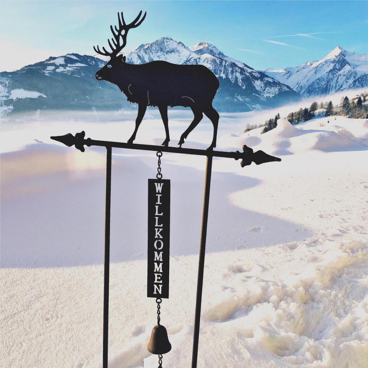Bio-Bergbauernhof Hubgut Villa Zell am See Dış mekan fotoğraf